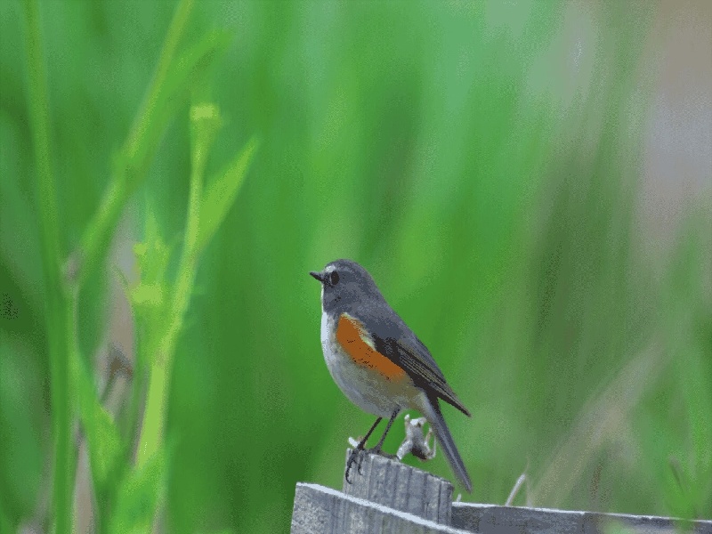 试管成功的问题广州试管婴儿费用明细试管建档要说吗